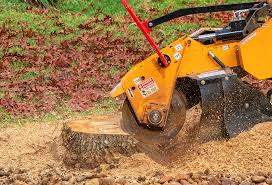 Best Storm Damage Tree Cleanup  in , TN