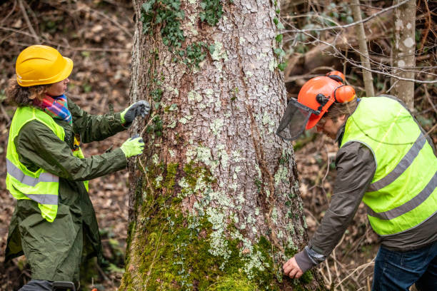  , TN Tree Care Pros